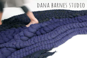 Dana Barnes Studio