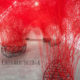 Sunday Visual Diary #20: Chiharu Shiota