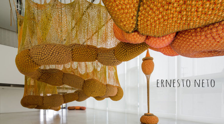 Sunday’s Visual Diary #27 : Ernesto Neto