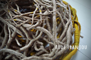 Featured Aude Franjou